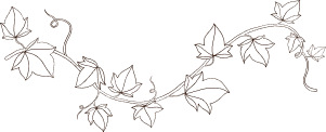 vector